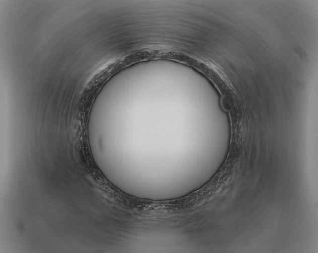 X0000115110967200911101602