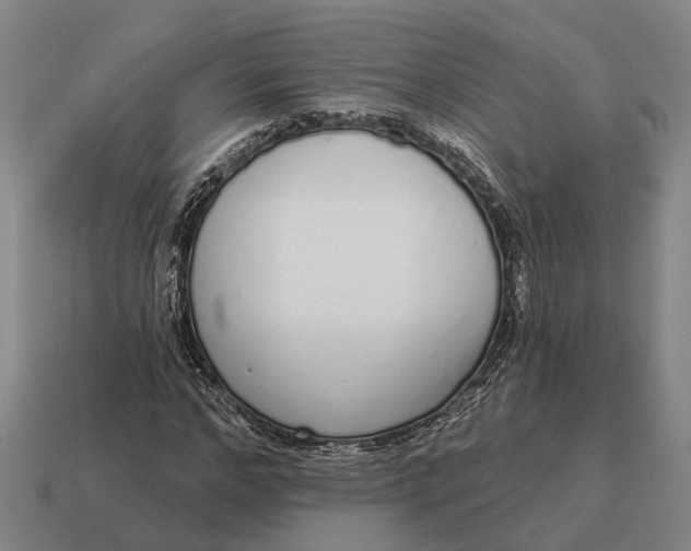 X0000115110968200911101602