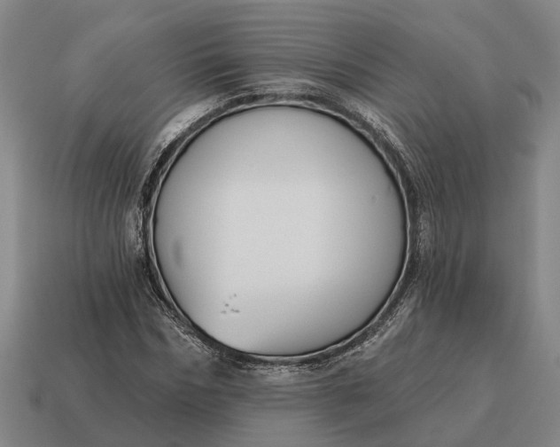 X0000115110970200911101602