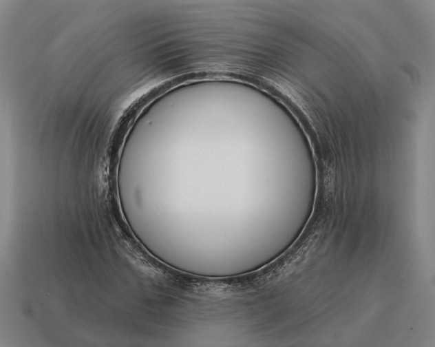 X0000115110971200911101602