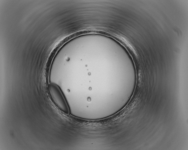 X0000115110972200911101602