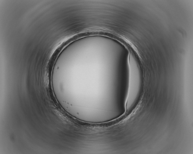 X0000115110973200911101602