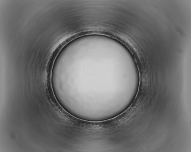 X0000115110975200911101602