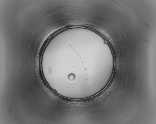 X0000115110976200911101602