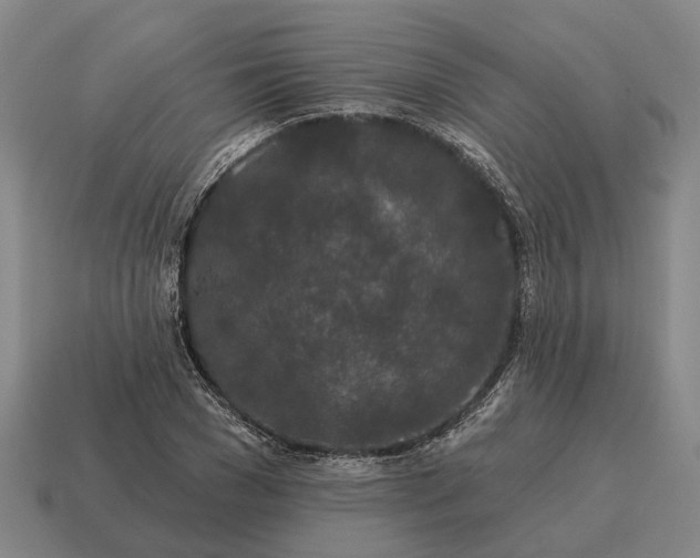X0000115110977200911101602