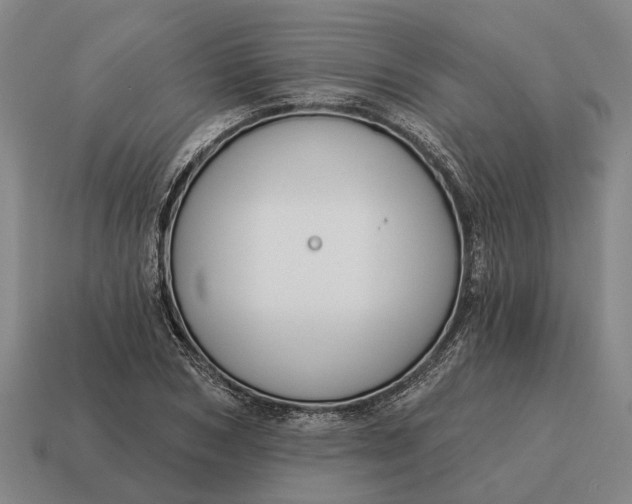 X0000115110978200911101602