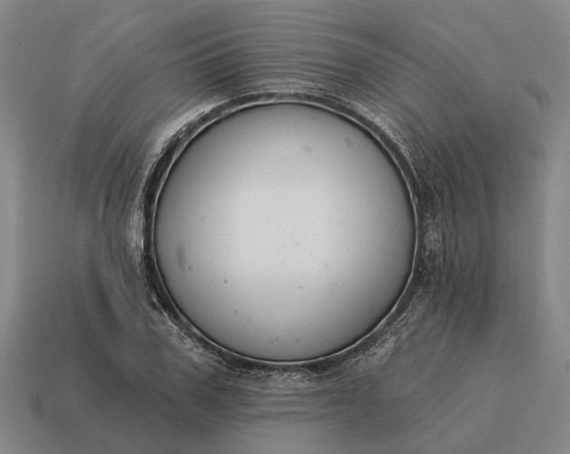 X0000115110979200911101602