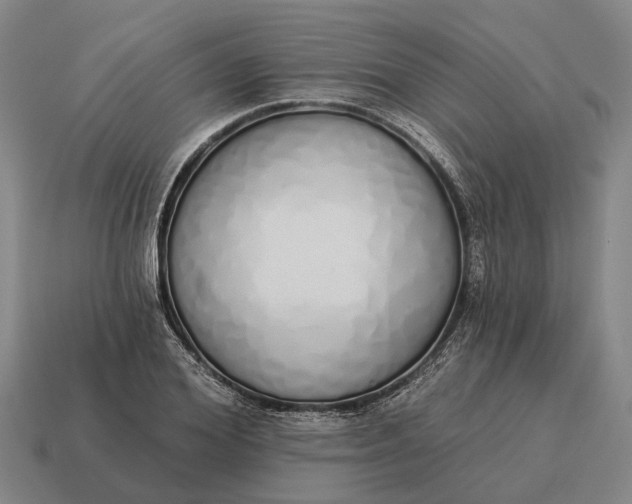 X0000115110980200911101602