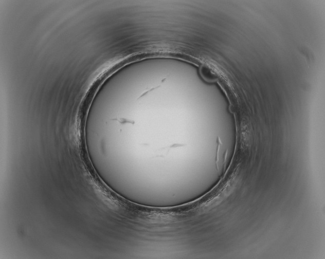 X0000115110981200911101602