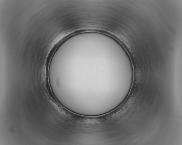 X0000115110982200911101602