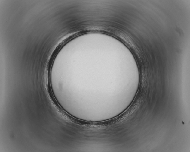 X0000115110984200911101602