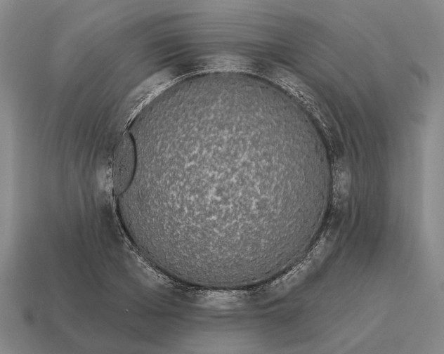X0000115110985200911101602