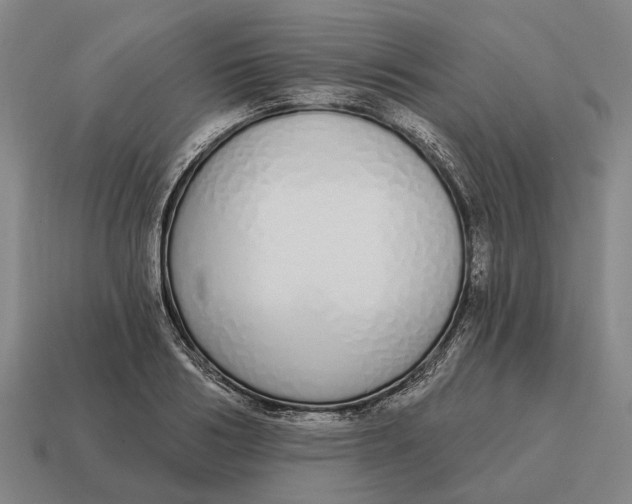 X0000115110986200911101602