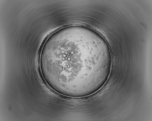 X0000115110987200911101602
