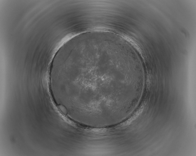 X0000115110989200911101602