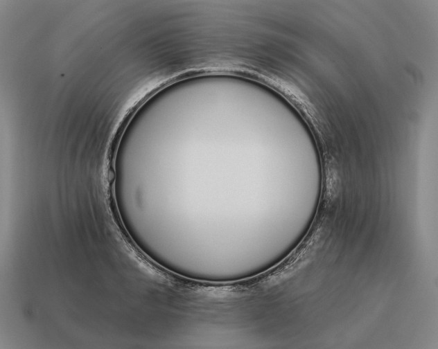 X0000115110990200911101602