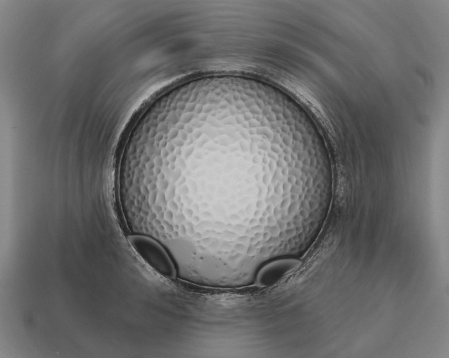 X0000115110992200911101602