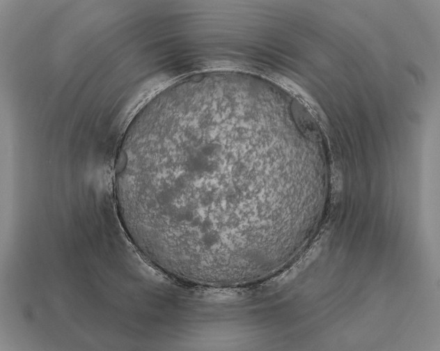 X0000115110993200911101602