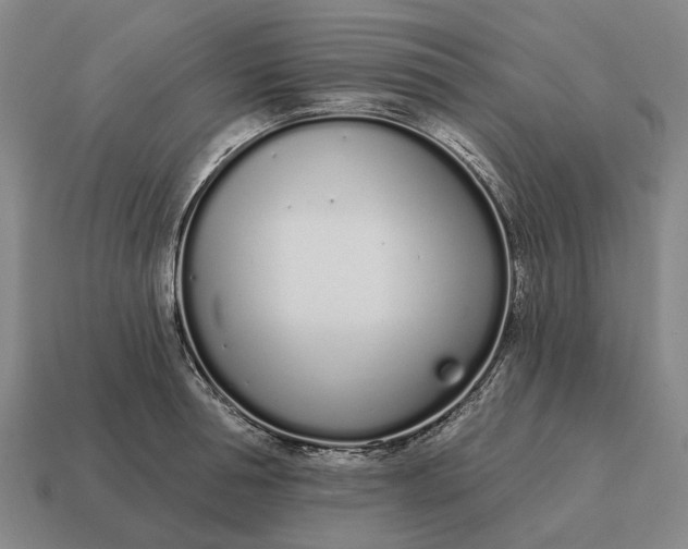 X0000115110994200911101602