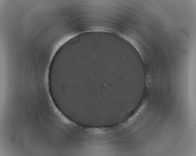 X0000115110995200911101602