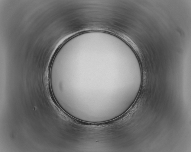 X0000115110996200911101601