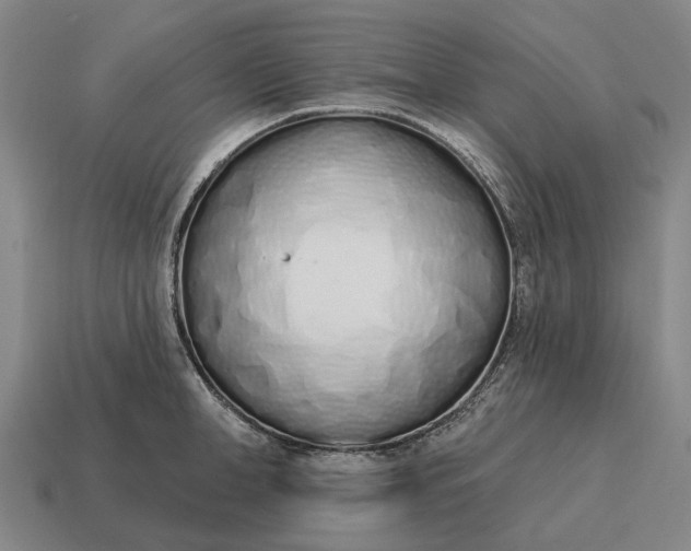 X0000115110998200911101601
