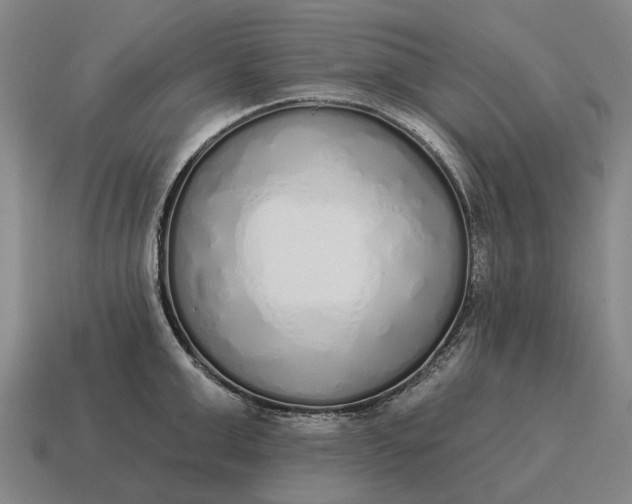 X0000115110999200911101601