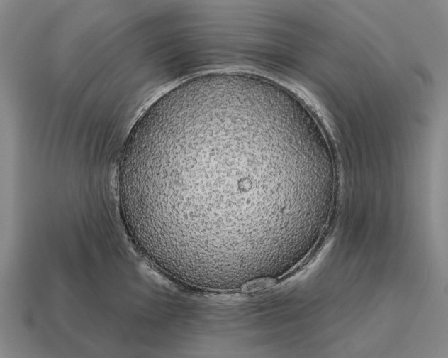 X0000115111001200911101601