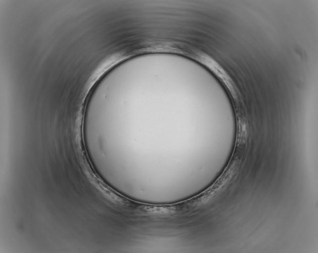 X0000115111002200911101601