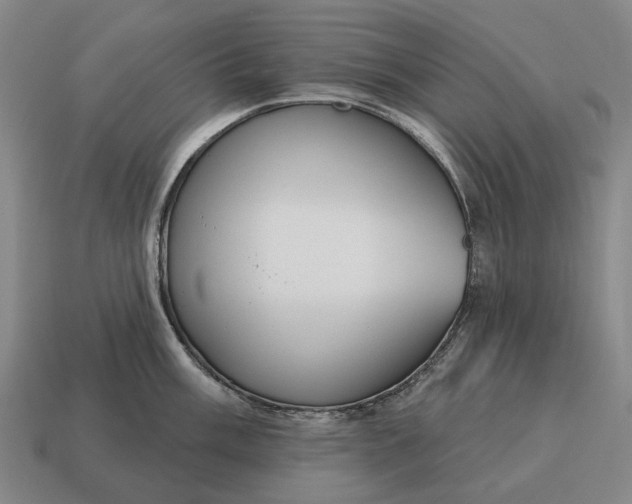 X0000115111003200911101601