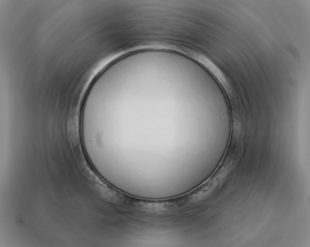X0000115111004200911101601