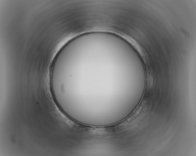 X0000115111006200911101601