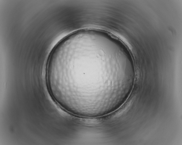 X0000115111007200911101601