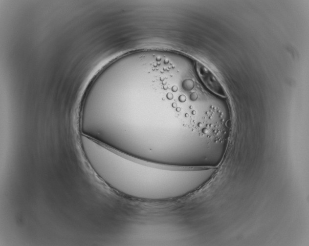 X0000115111008200911101601