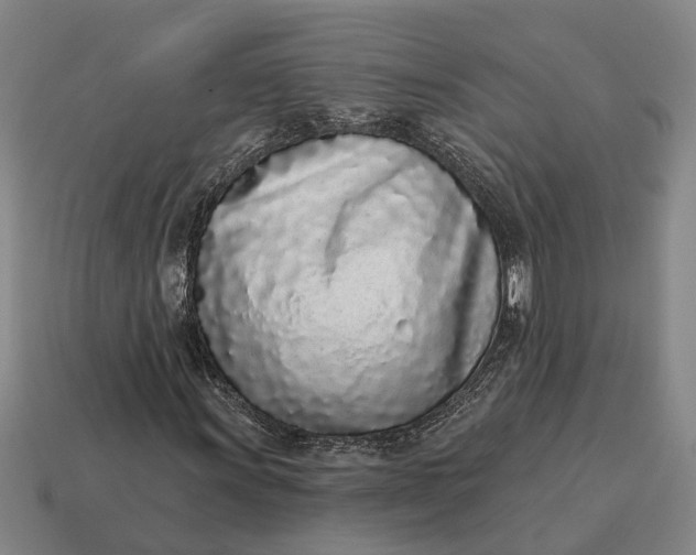 X0000115111011200911101601