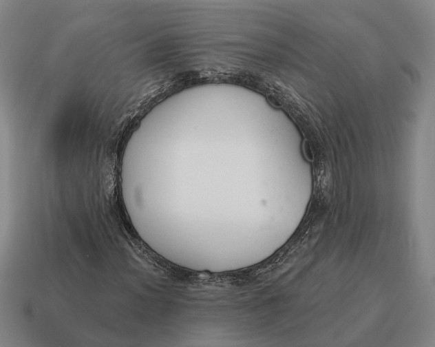 X0000115111012200911101601
