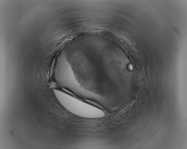X0000115111013200911101601