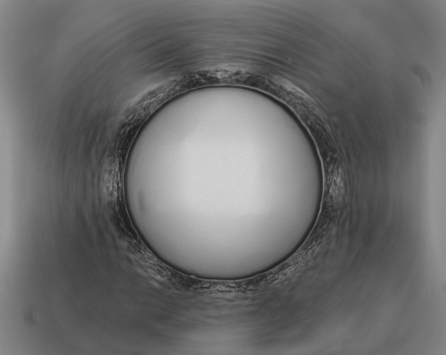 X0000115111014200911101601