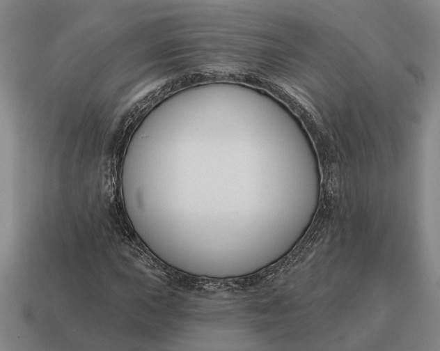 X0000115111015200911101601