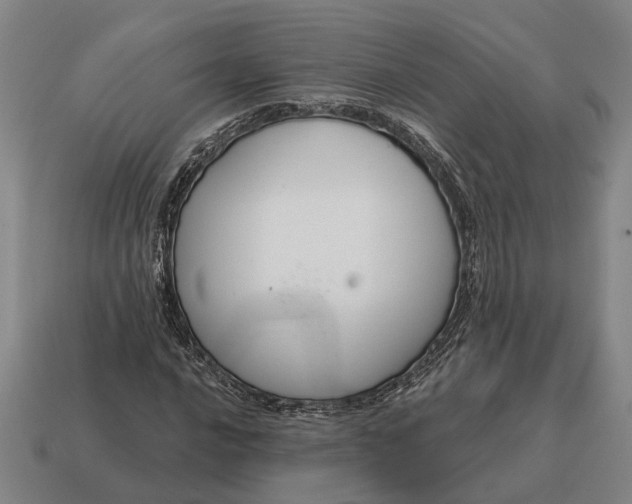 X0000115111016200911101601