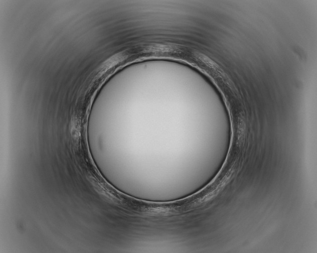 X0000115111017200911101601
