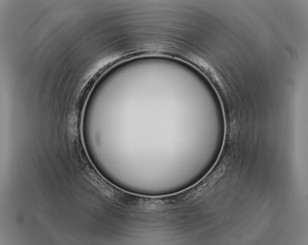 X0000115111019200911101601