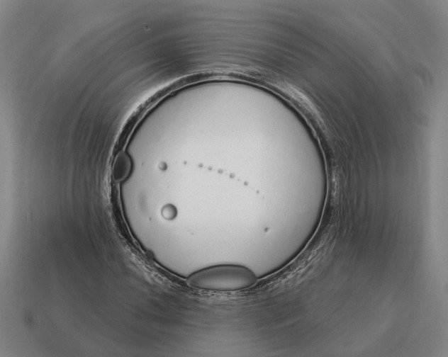 X0000115111020200911101601