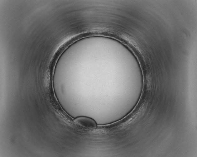 X0000115111021200911101601