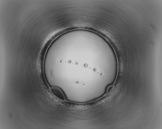 X0000115111022200911101601