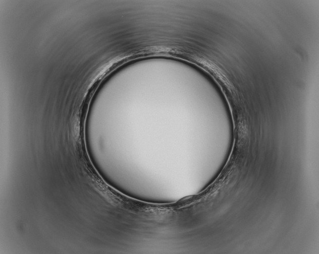 X0000115111023200911101601