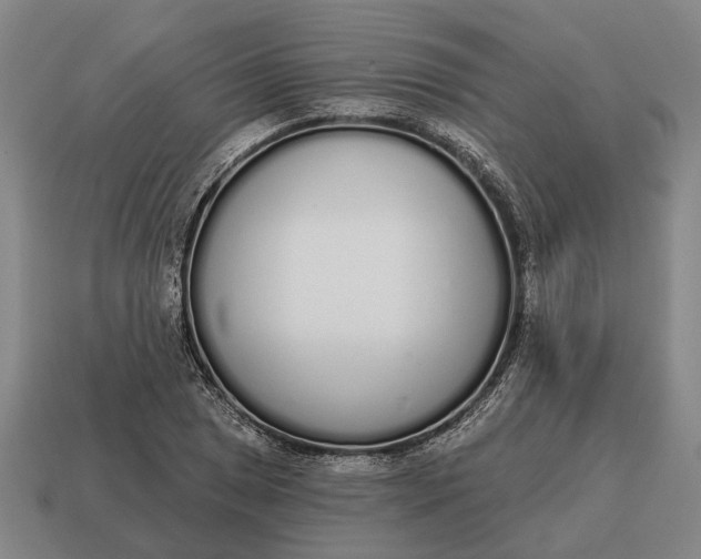 X0000115111025200911101601