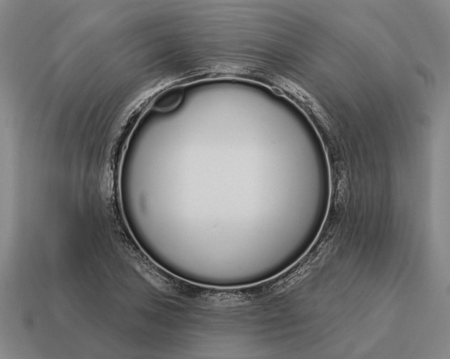 X0000115111027200911101601