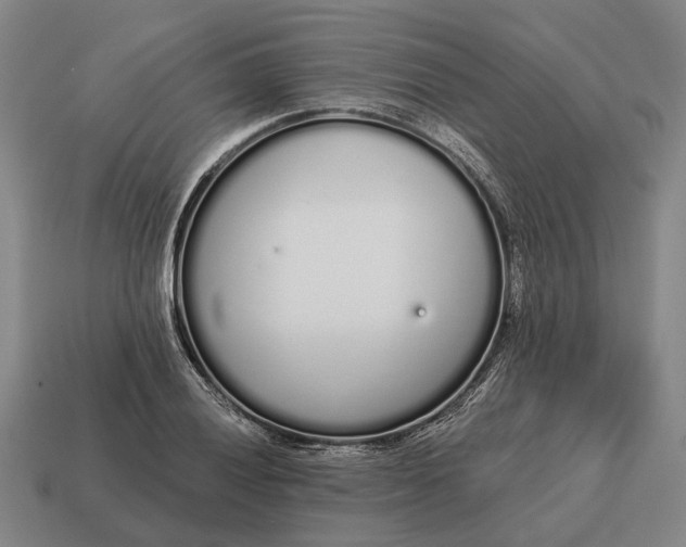 X0000115111028200911101601