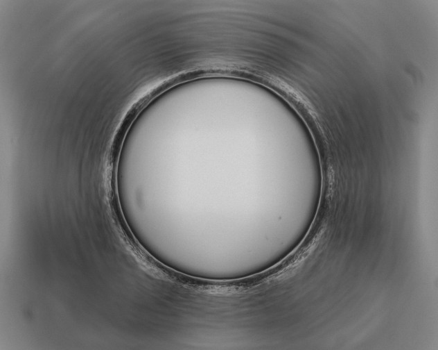 X0000115111029200911101601